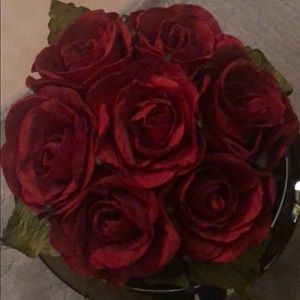 Meet your Posher, Jeanette